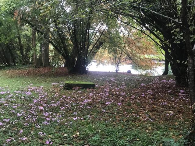 Mazette! Le Chateau Niort Bagian luar foto